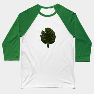 Philodendron Monstera Baseball T-Shirt